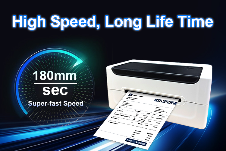 Catalogue K38 2025-5(2) 